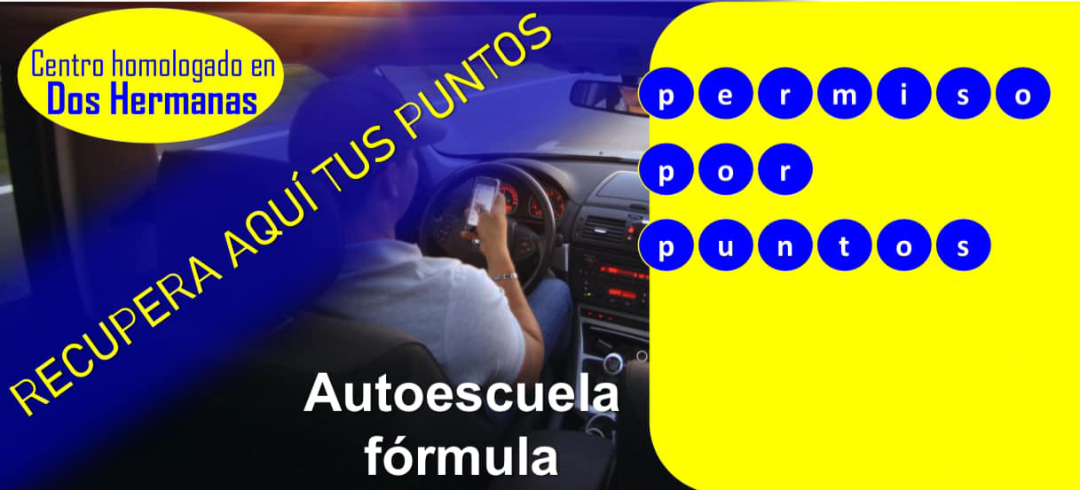curso recuperación puntos autoescuela formula